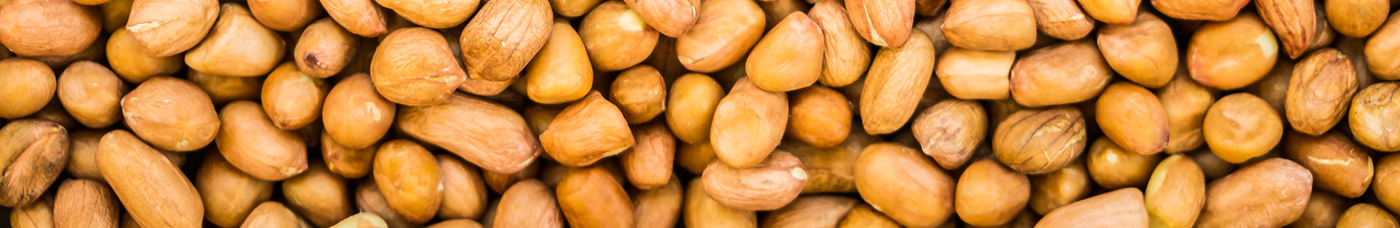 nuts